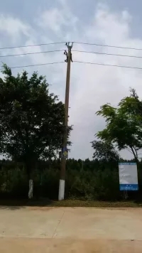 西塘中学怎么样,西塘镇西塘中学简介