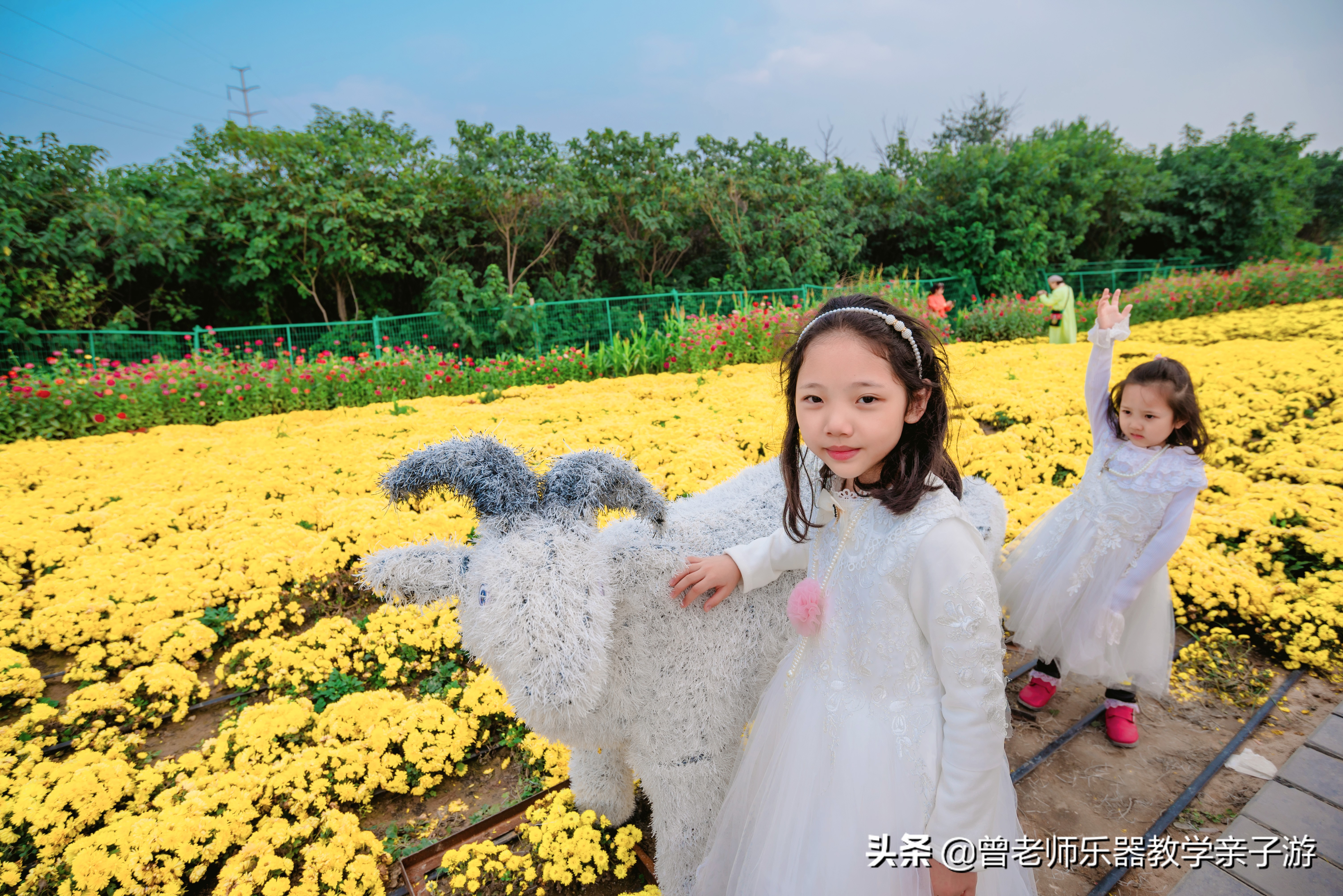 爱菊研学游,爱菊丝路文化菊花园西安
