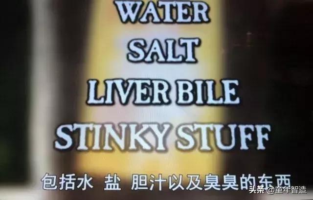 砍头、神曲、吃心脏…BBC另类儿童节目,树了最正的历史观