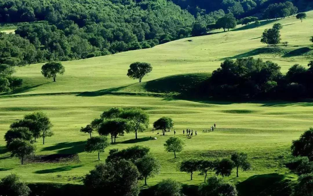 草原天路自驾游攻略最新,天路塞罕坝乌兰布统