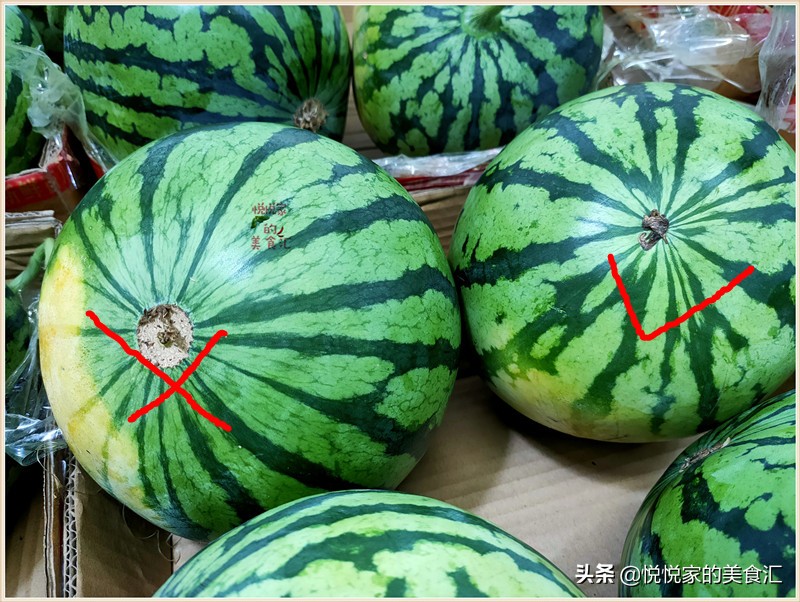 自然成熟的西瓜和催熟西瓜的区别,西瓜白籽和黑籽西瓜区别