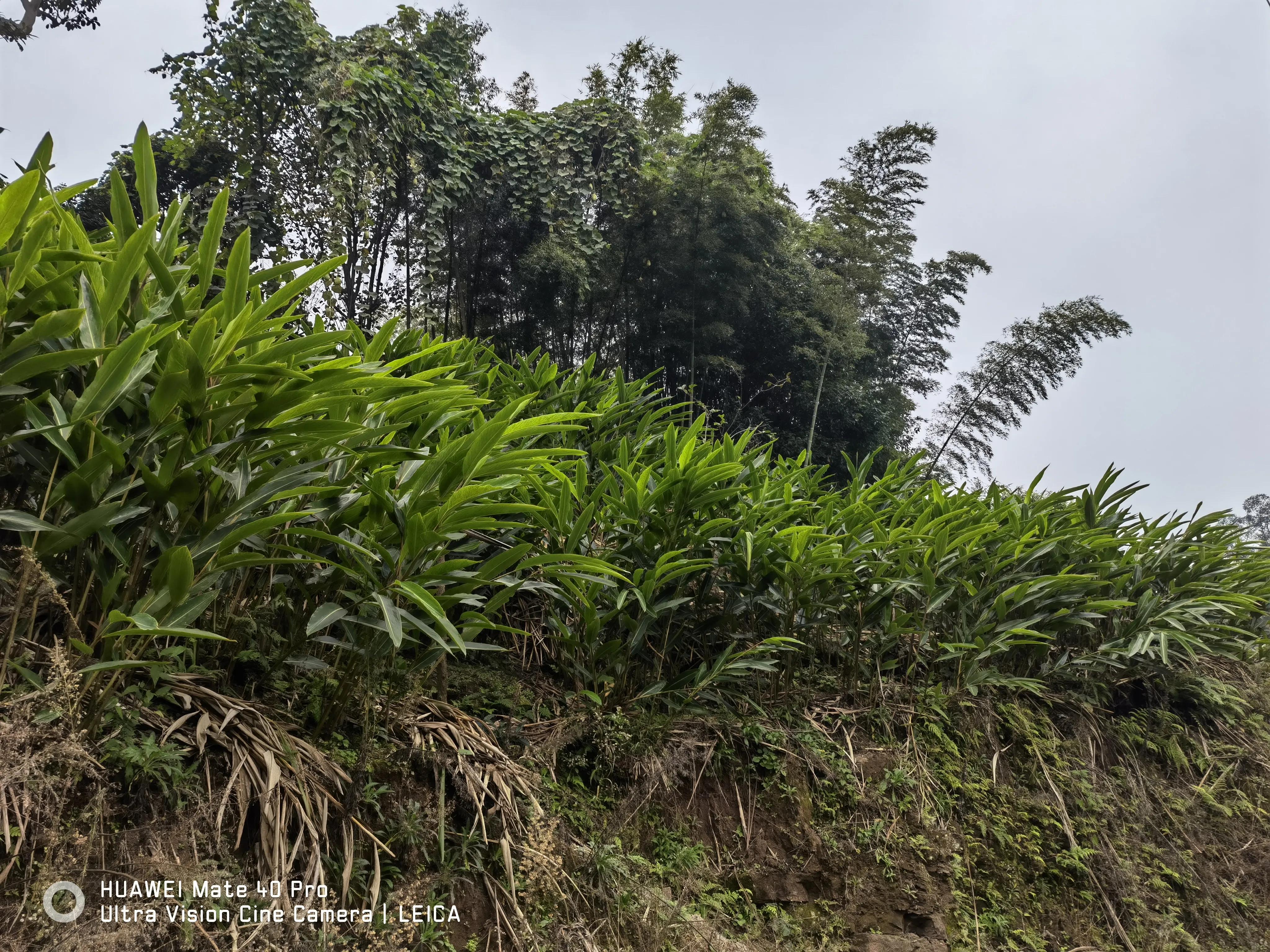 驻村干部要干什么,驻村干部做些什么