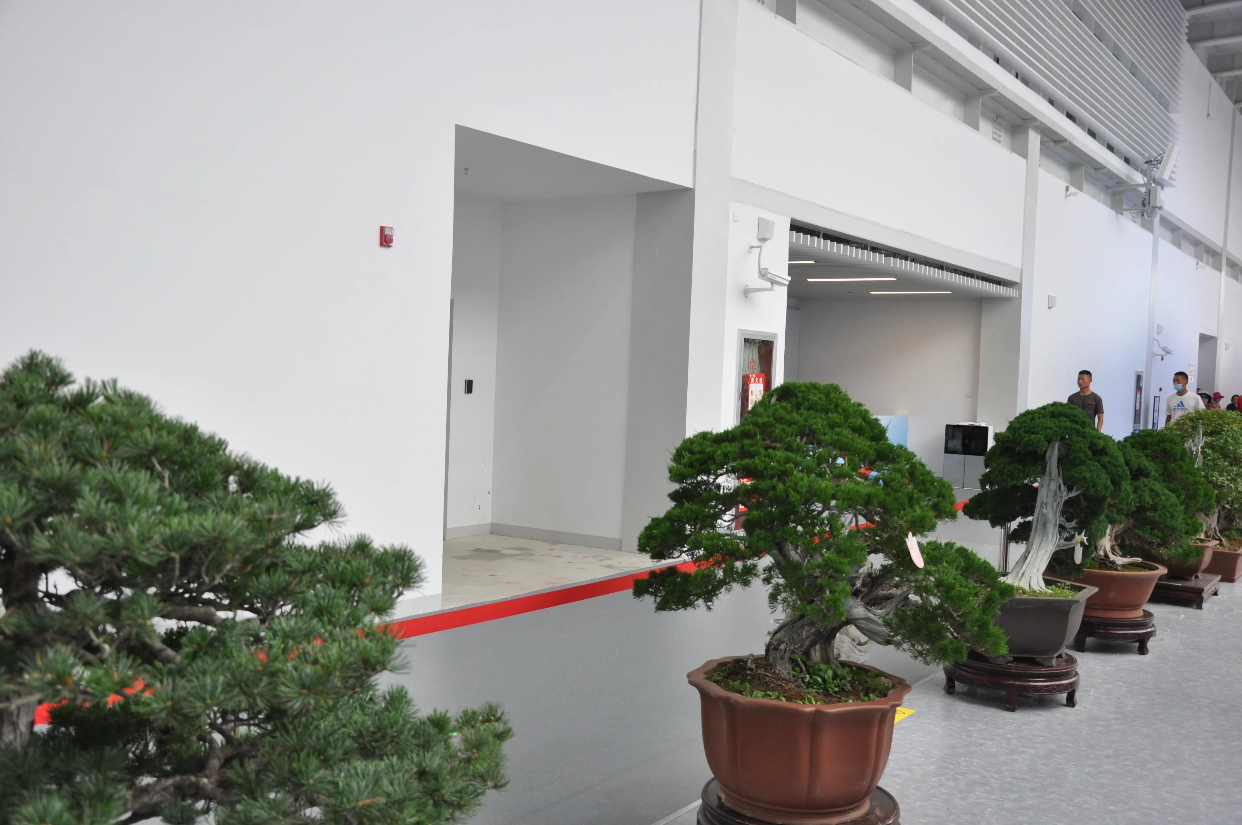 漳州东南花都花博会巡游,花博会花神巡游打卡