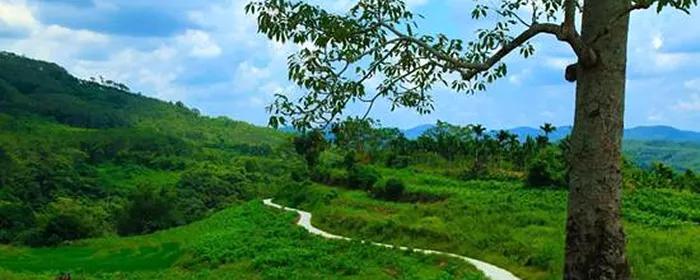 朱邦群：山道弯弯（小说）