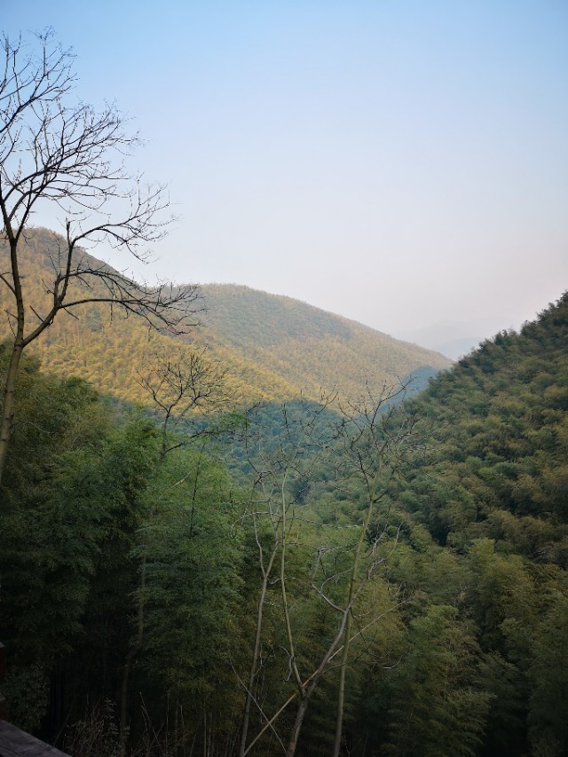宜兴竹海游和龙背山森林公园游记