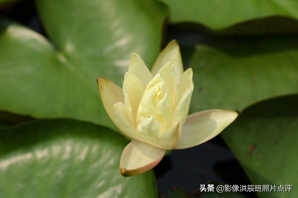 单反镜头有哪些小毛病,单反镜头容易碎吗为什么