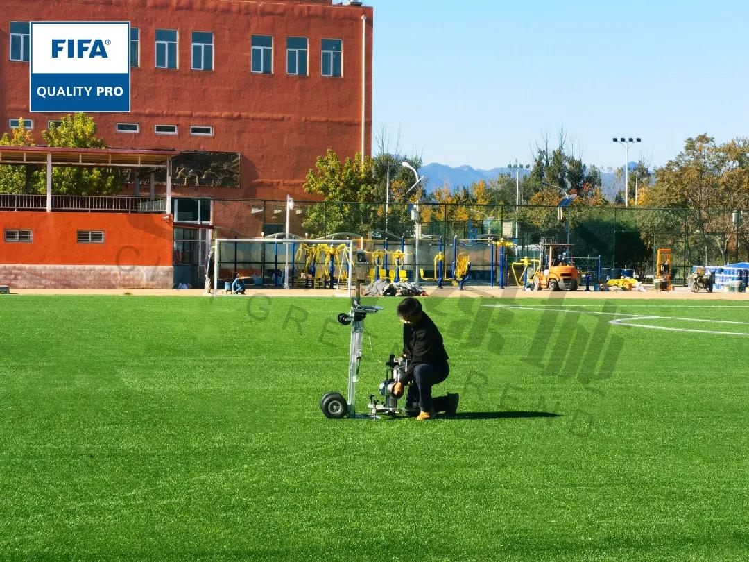 cgt缁垮煄鑻辫秴,cgt缁垮煄浣撹偛浜т笟闆嗗洟