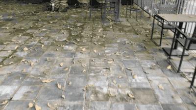 真香旗舰iphone11评测了解一下,iphone11全系列详细参数对比