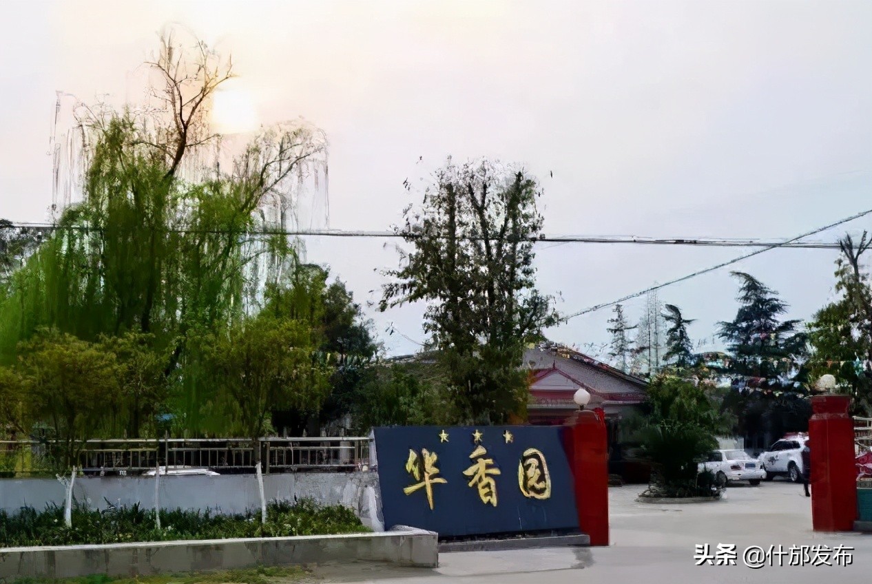 不负好春光文章,不负好春光的上一句