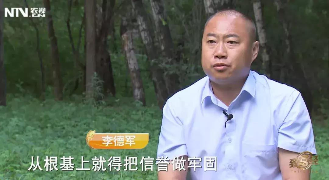 农村常见的鹅卖到230元/只,只用了2招