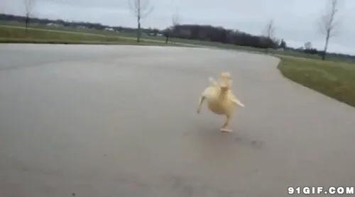 郑州宜家到底啥时候开业,郑州宜家开业第7天