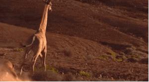 看了整整七分钟，他们最终还是上去了