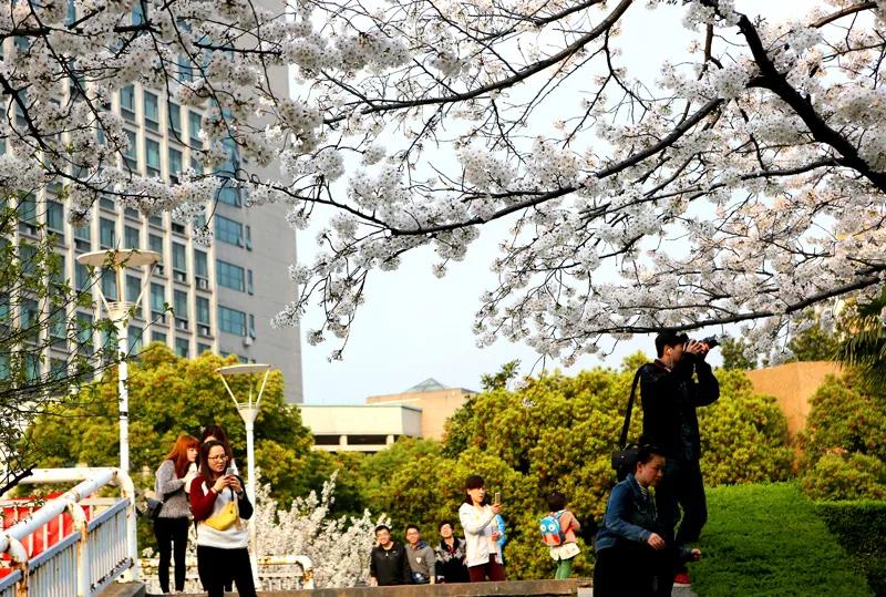 浙江工业2023届就业质量报告,浙江工业大学毕业生就业质量报告