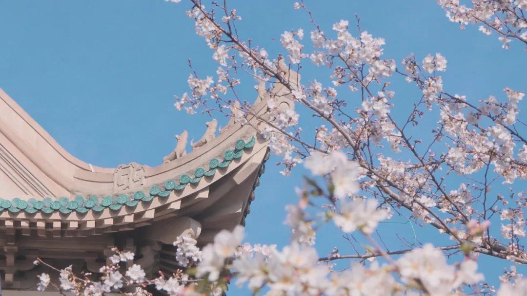 武汉大学2020年招生简章,武汉湖北大学2021年招收章程