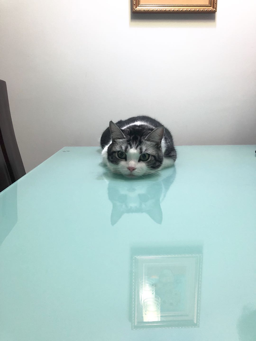 今天的缩量行情,今天缩量