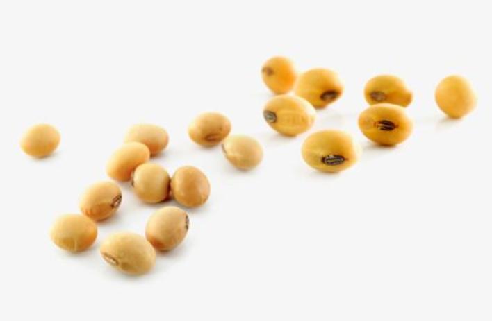 产后没下奶前宝宝吃什么,产后没有下奶的食物