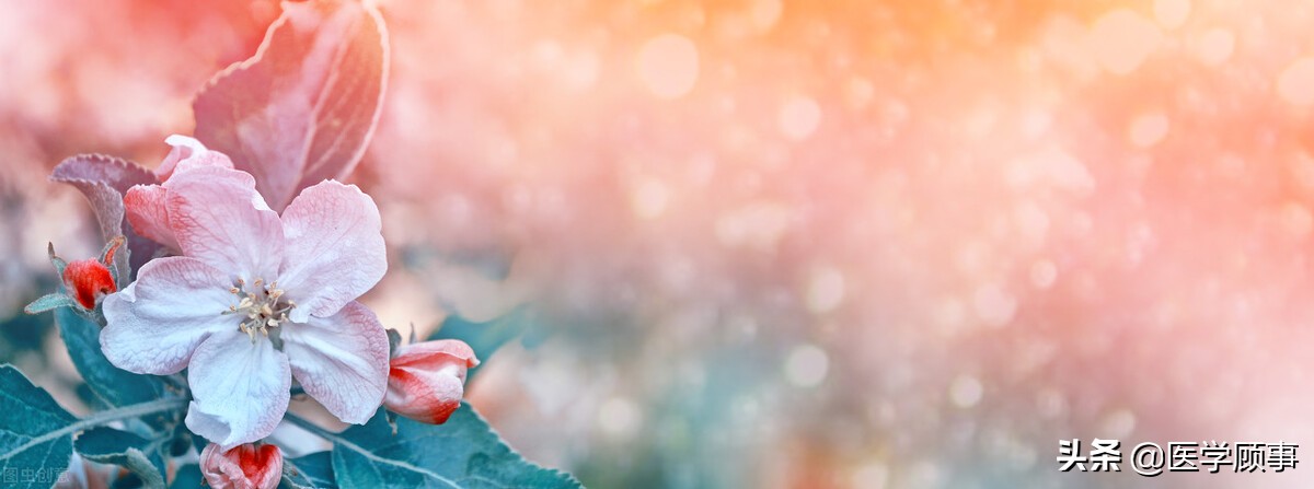 中医专家安阿玥,安阿玥医术