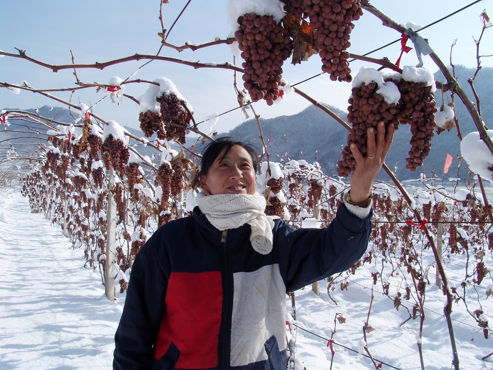 一张图卖出天价,一张图片卖出天价