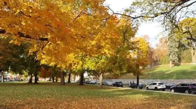 七所“村”里的美国大学，这是心动的感觉