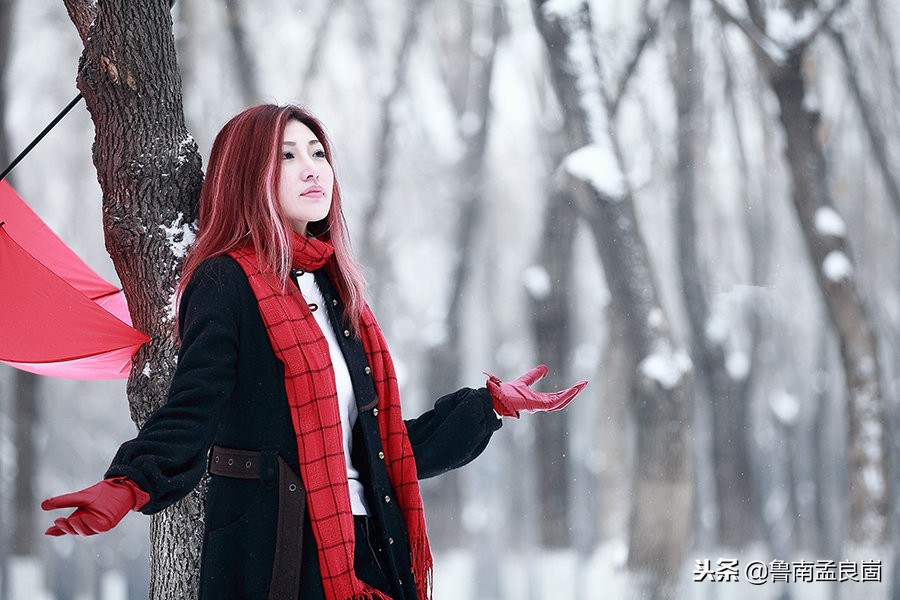 冰天雪地寒梅傲雪,初冬踏雪去寻梅