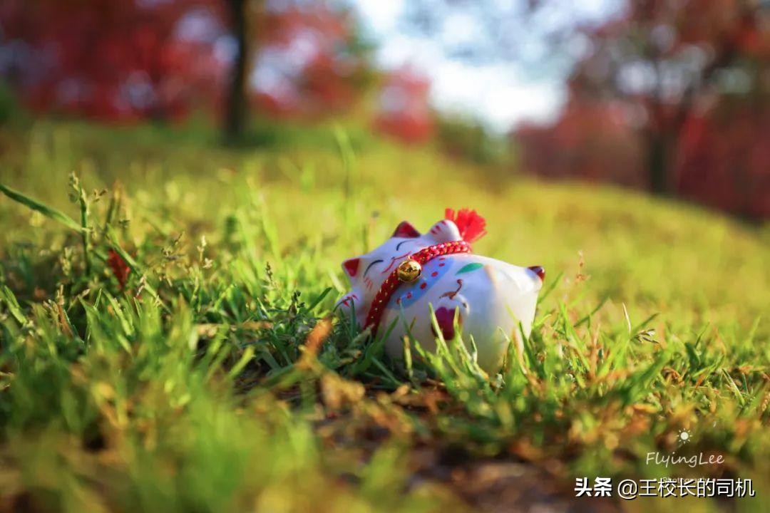 12个网站,12个超级实用的网站