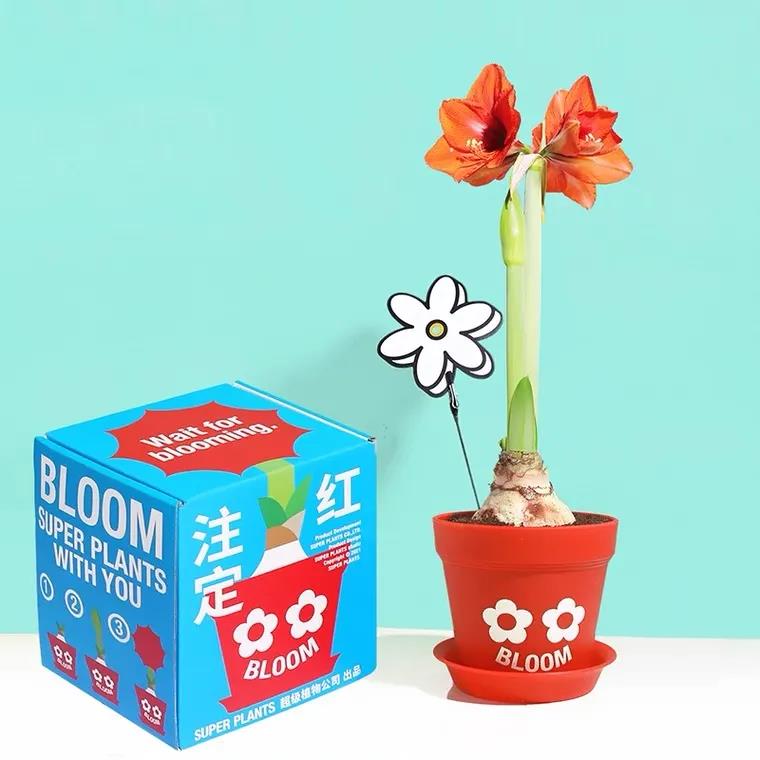 七夕礼物怎样又好又便宜,500预算送什么礼物