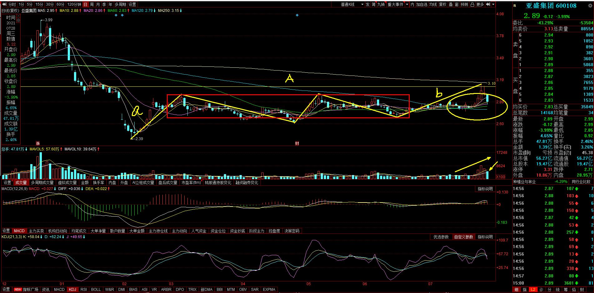 600108亚盛集团公司简介,600108亚盛集团后市如何操作
