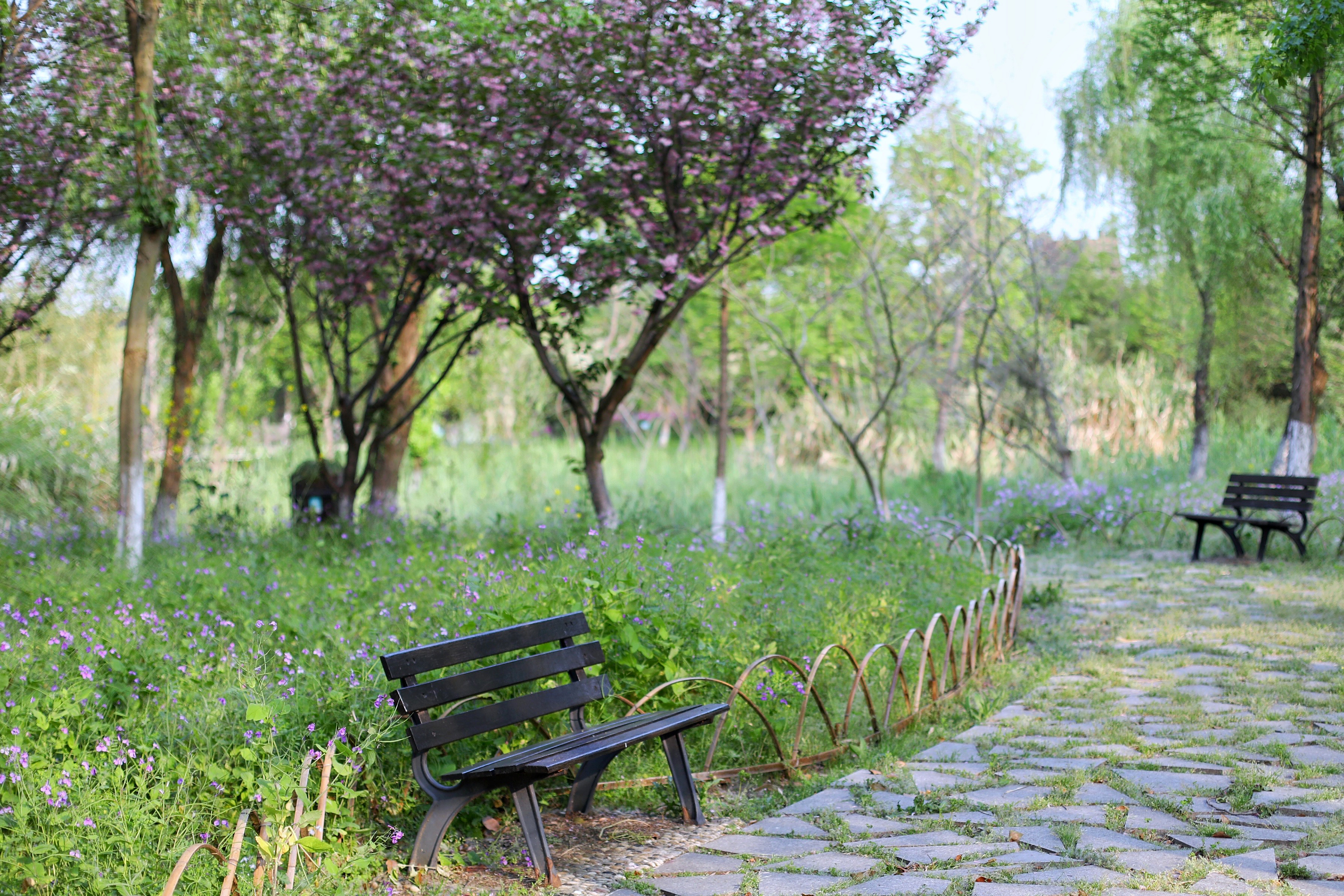 常熟水上花田旅游攻略,常熟水上游玩攻略