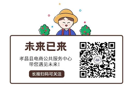 「电商资讯」电商服务站“站长带货”站站有为