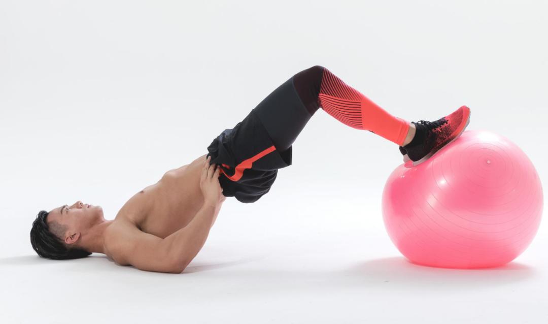 健身教练初学者必看,新入门健身教练推荐书籍