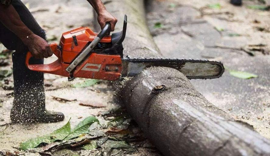 一张纸巾遇到的肤色歧视，白色纸or本色纸究竟哪种更好？