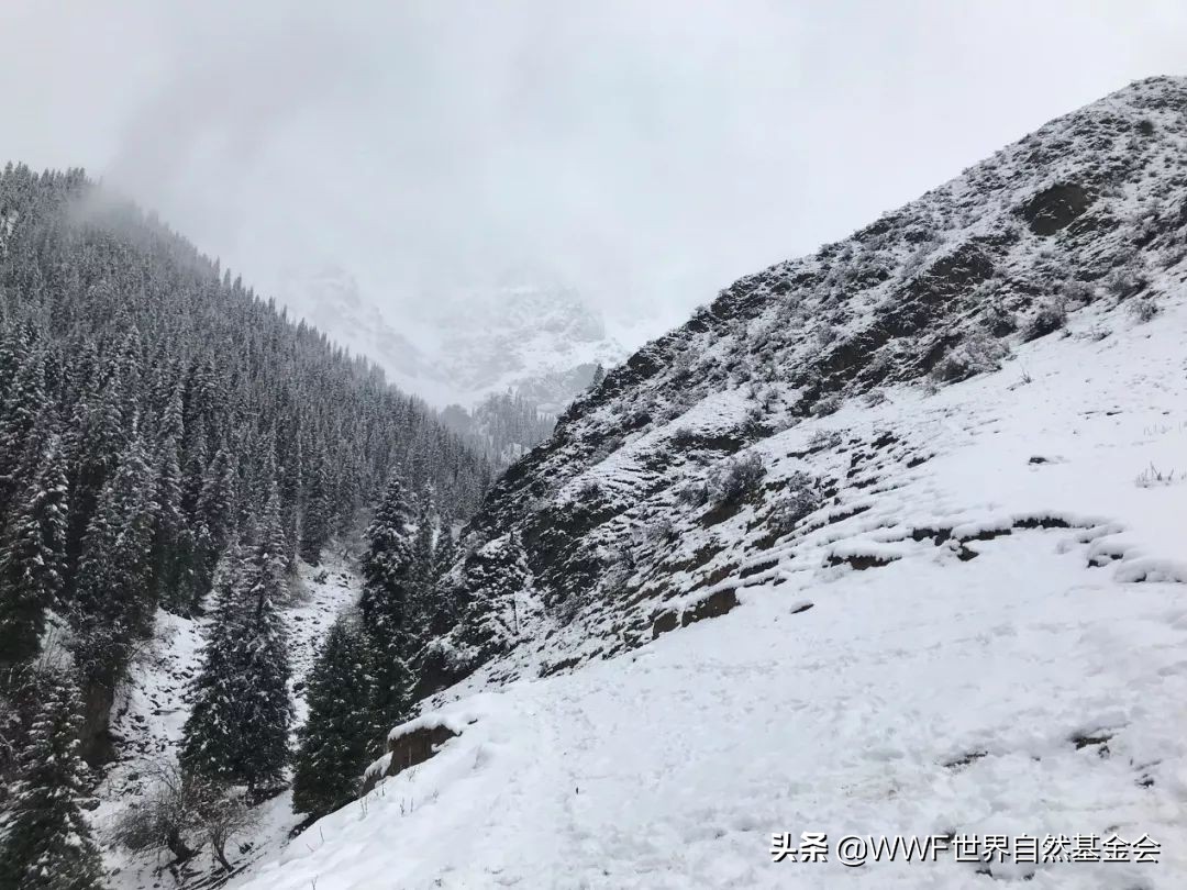 怎么品味红茶,怎样品味一壶好茶