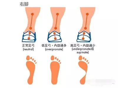 根基建立必练的16体式讲解,根基不稳
