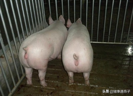 秋季疾病高发怎么办,秋季常见疾病及治疗方法