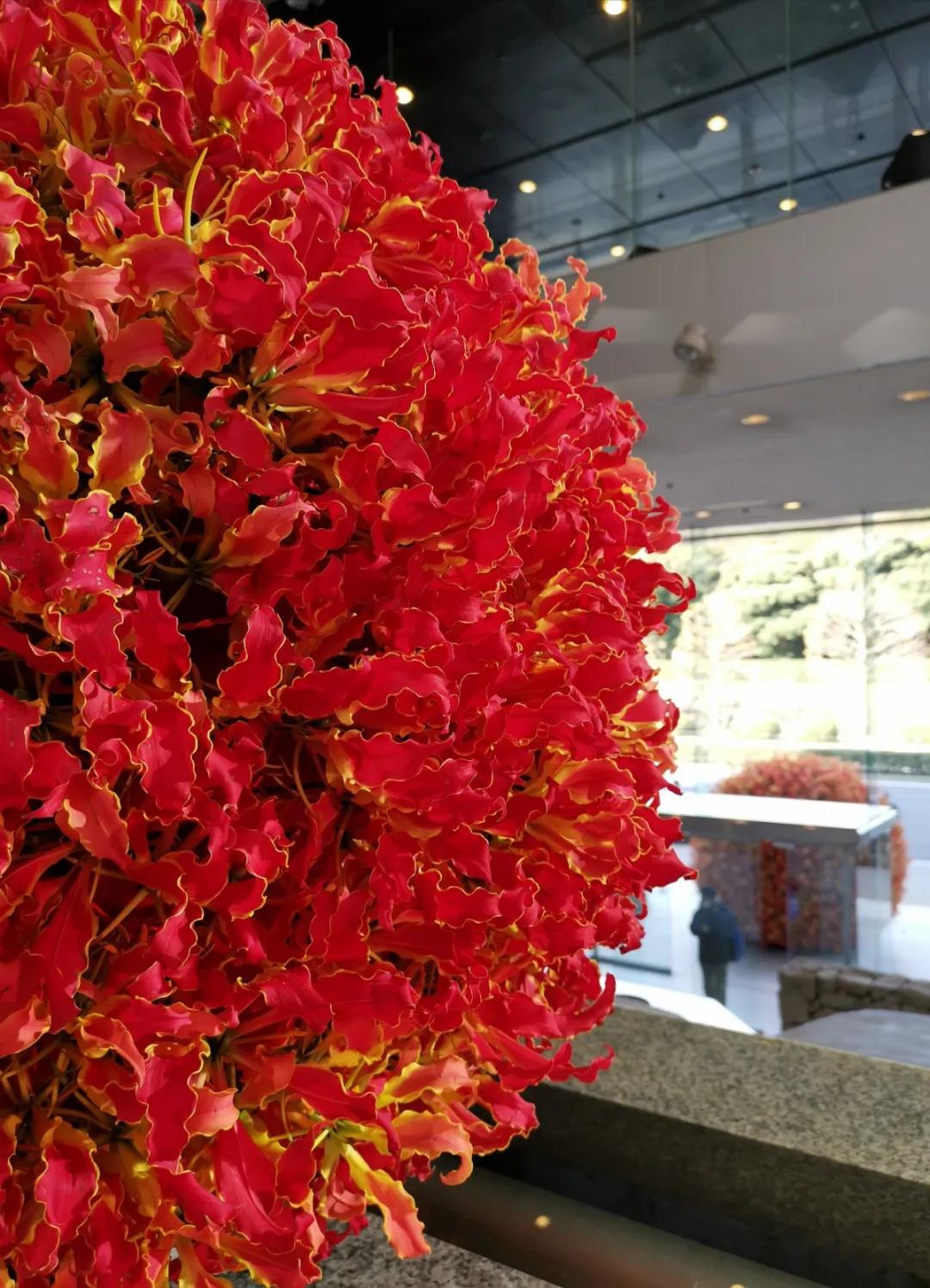 日本草月流：借由一枝花，让明天变得更好