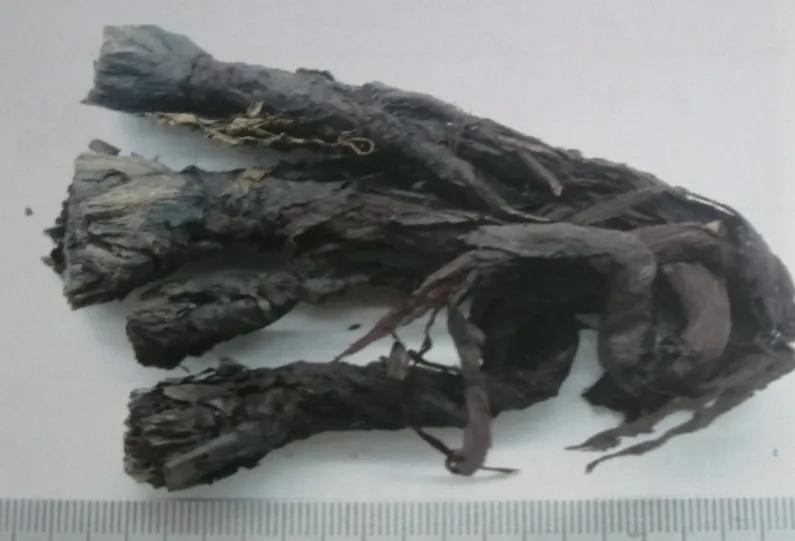 紫草中含哪些有效成分,紫草膏的紫草是什么样子