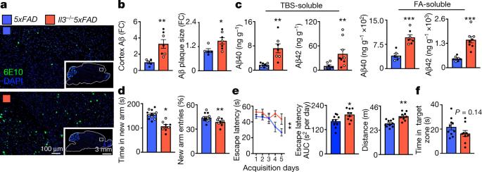 脑科学存在的问题,脑科学日报图谱大全