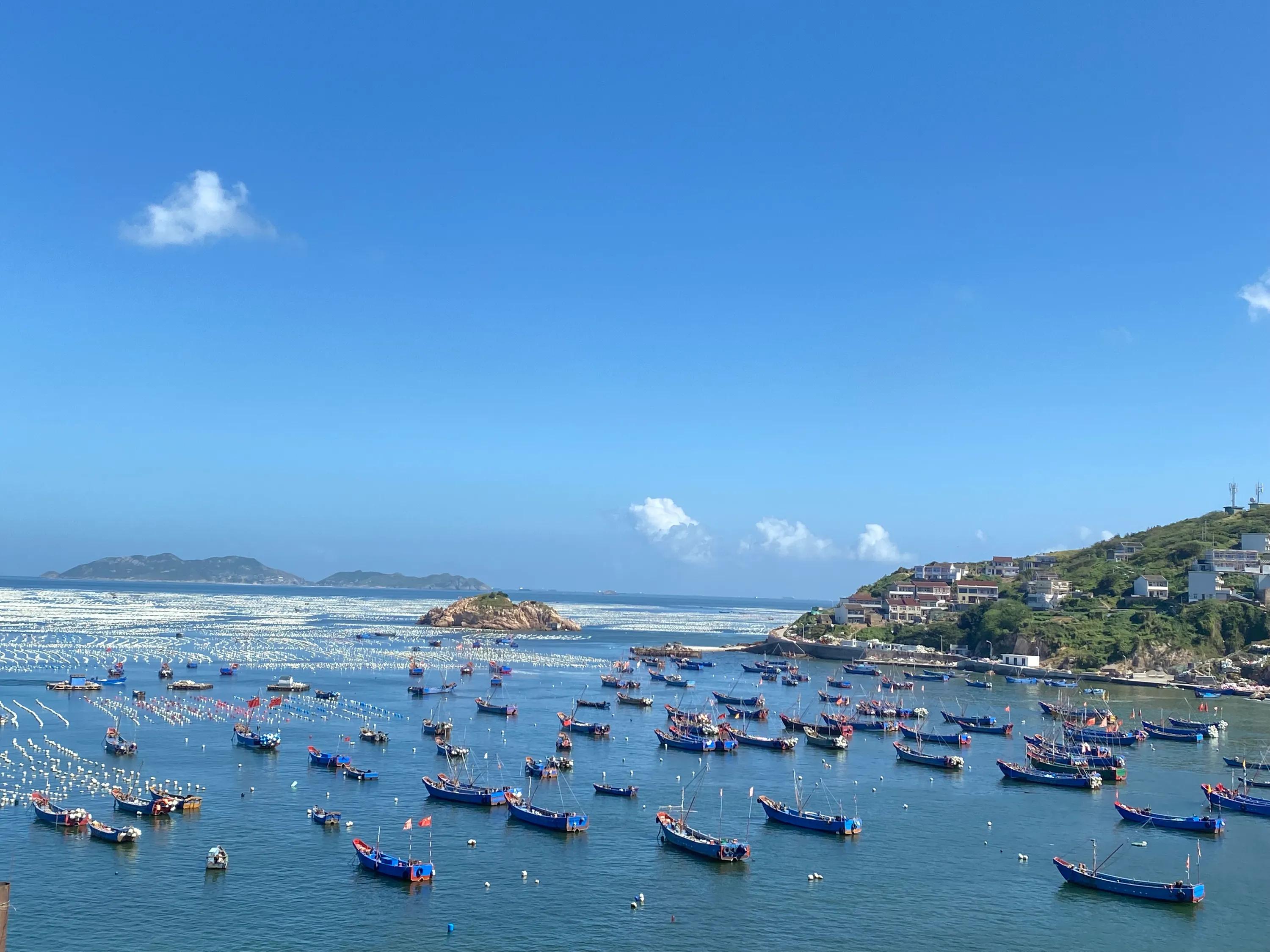 嵊山旅游攻略必去景点推荐,嵊泗嵊山枸杞