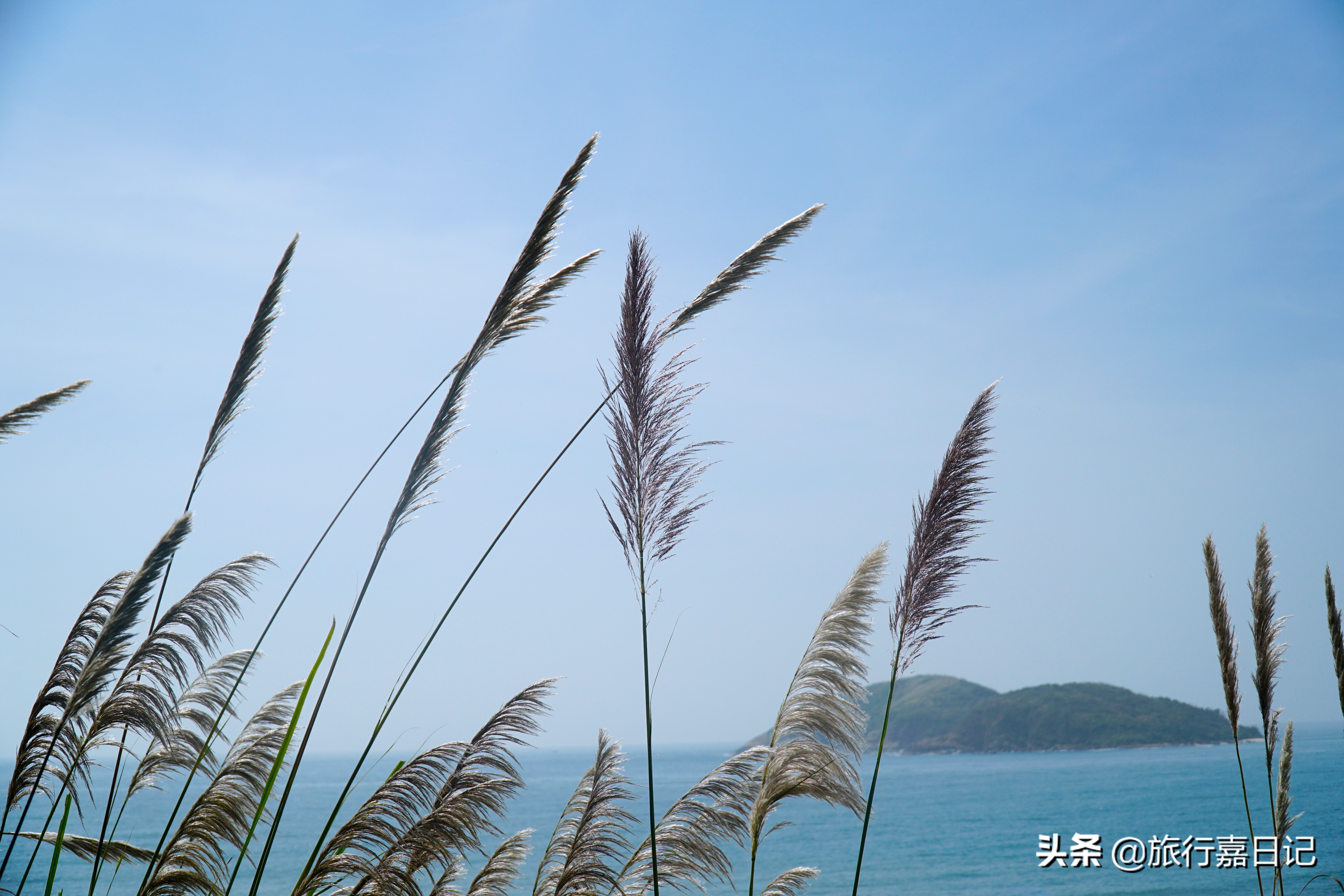 三亚旅游真实体验,去海南三亚玩怎么玩才不会被坑