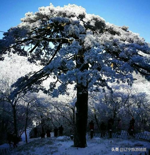 辽宁大石桥镁都,中国镁都大石桥旅游指南