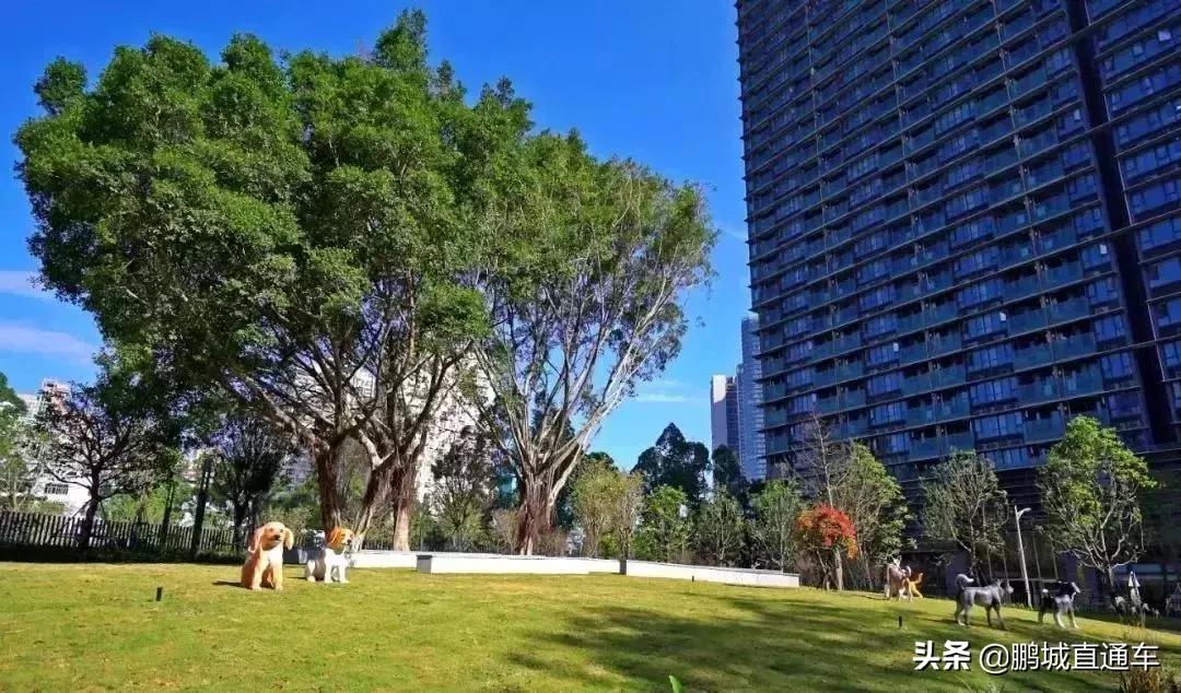 深圳60个最适合一日免费景点,暑假深圳旅游必去十大景点