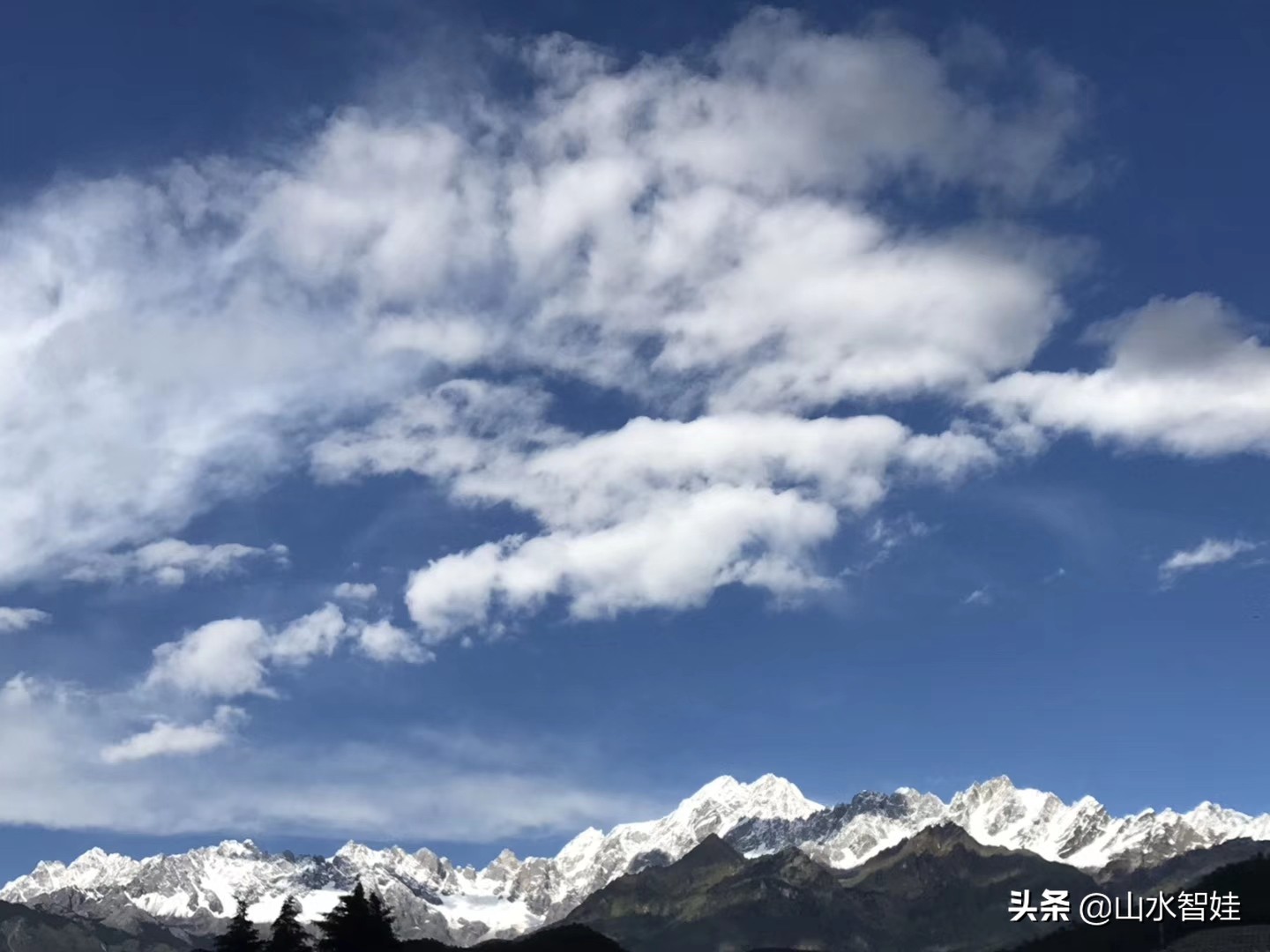 好物推荐dha核桃油你了解吗,舒达核桃油可以热炒吗