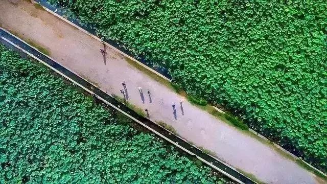 人间瑶池普者黑,丽江至普者黑自驾