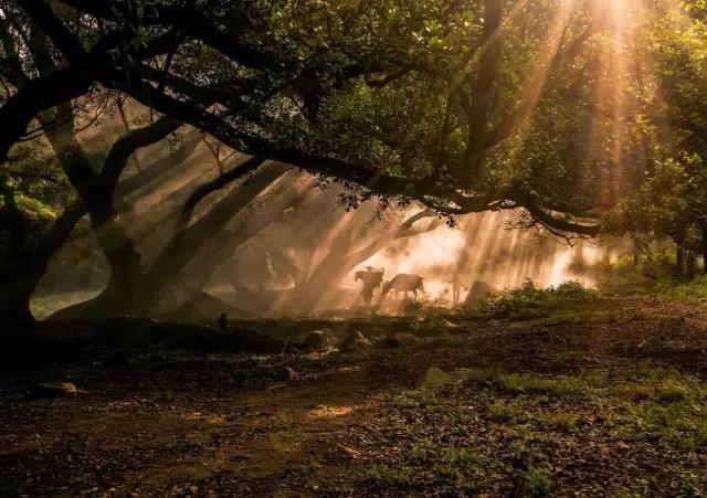 福州周边适合一日游的古村落,福州四个古村