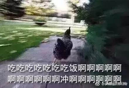 杭马半马难跑,杭马半马起跑时间