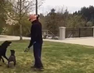 颜值惊人的亚洲第一美男,颜值最高的亚洲男