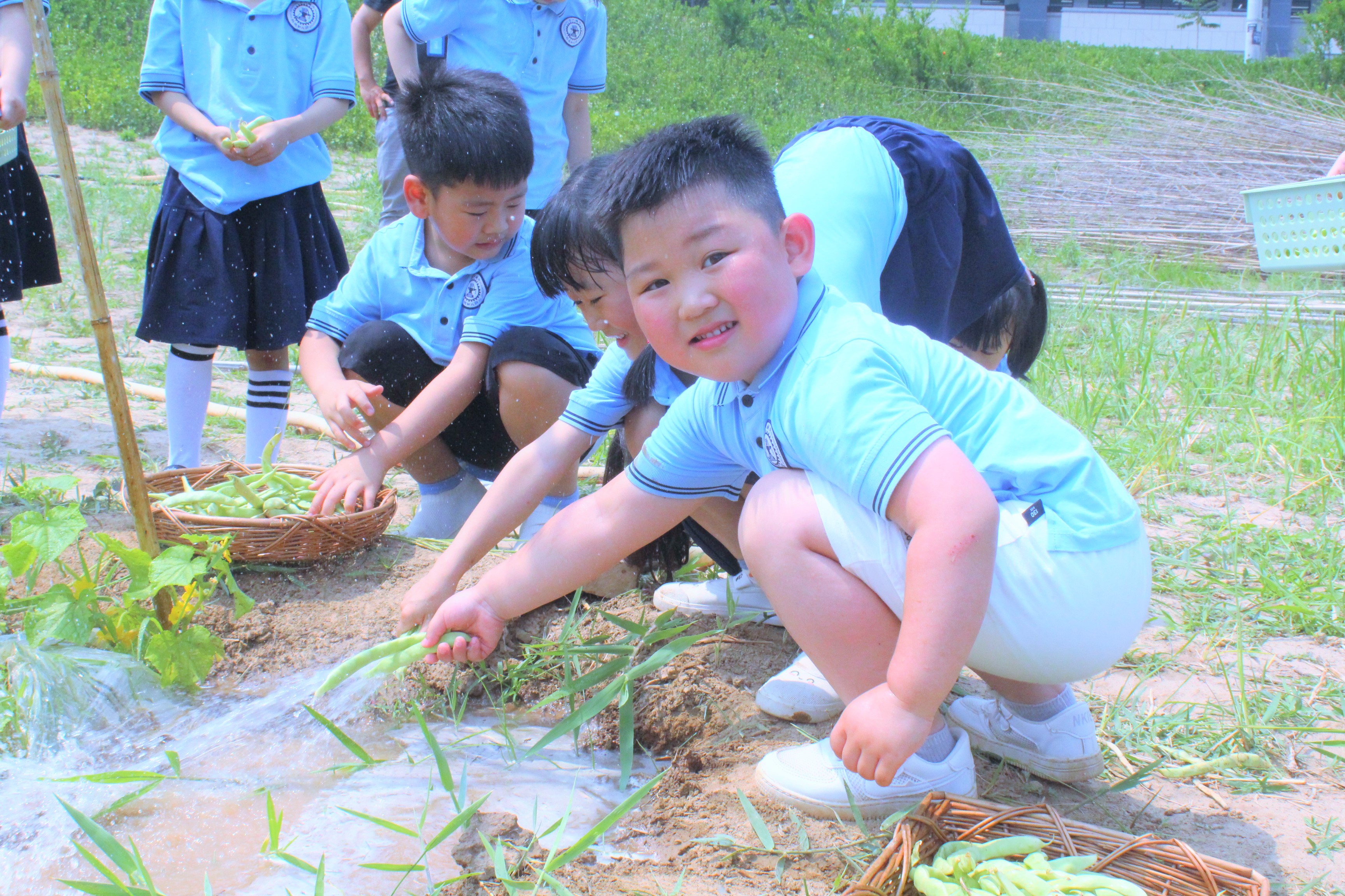 西安交大韩城学校幼儿园2022年,韩城西安交大幼儿园