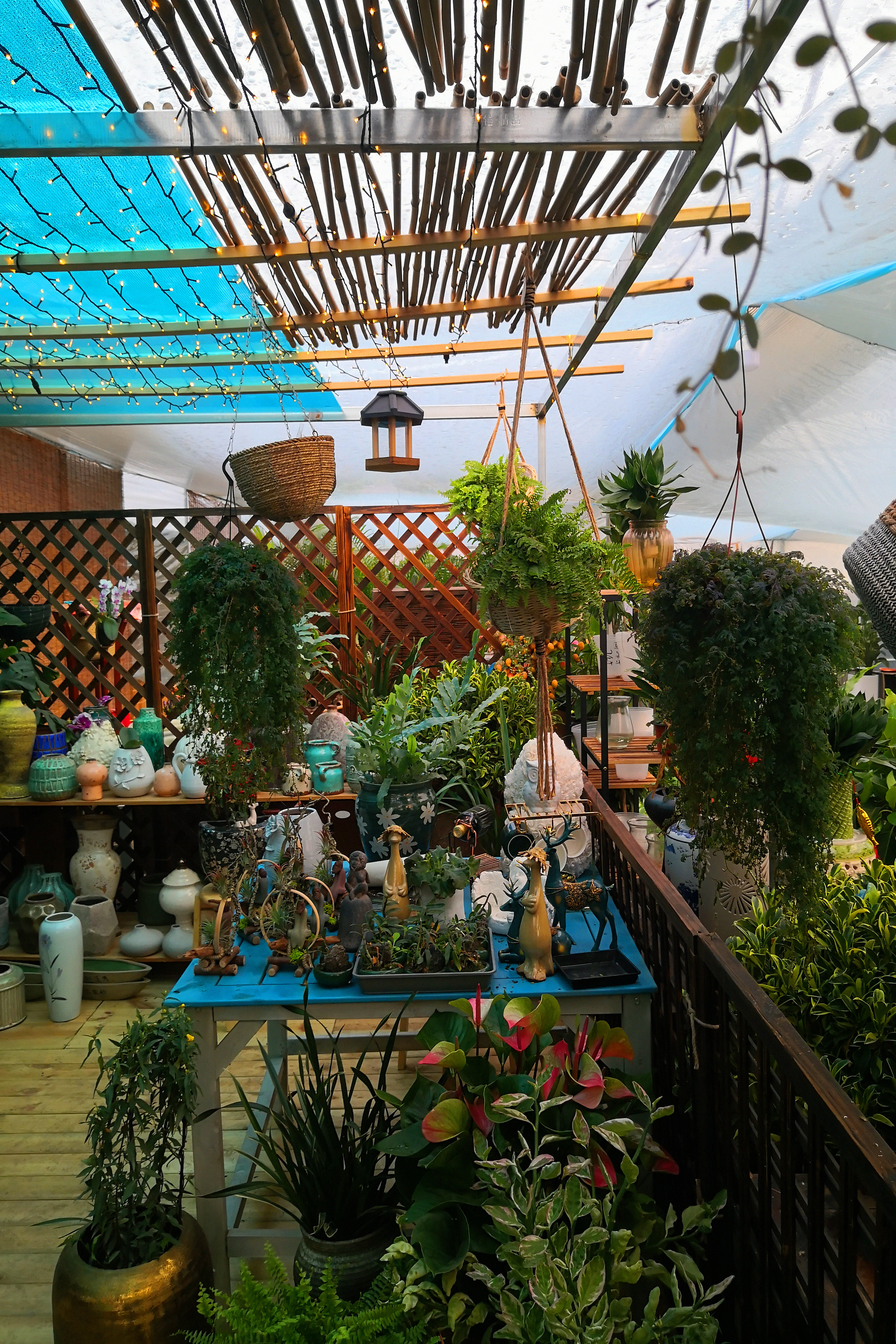 东营最大的花卉批发市场在哪里,东营地区哪里有花卉市场