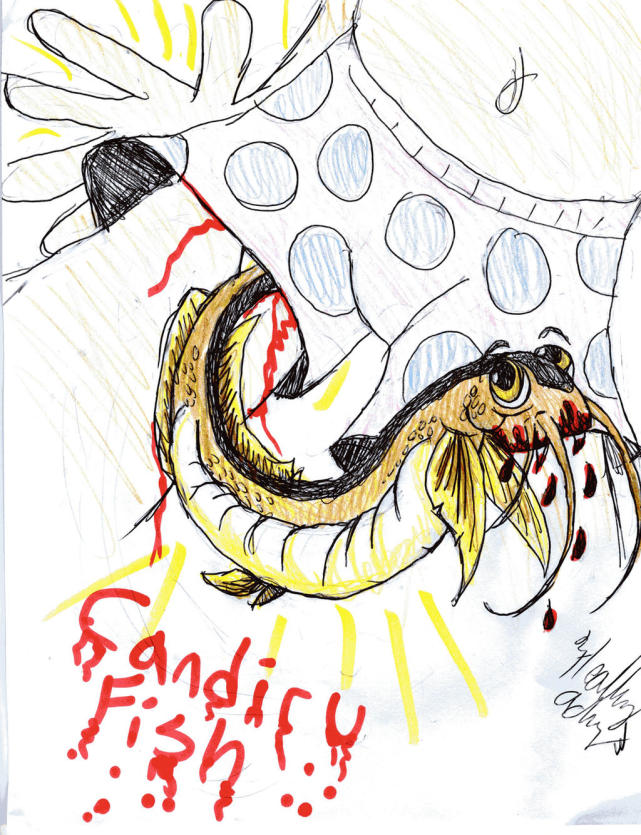 巴西惊现“吸血鬼鱼”！攻击人的隐私部位，将寄主吸食干净才离开