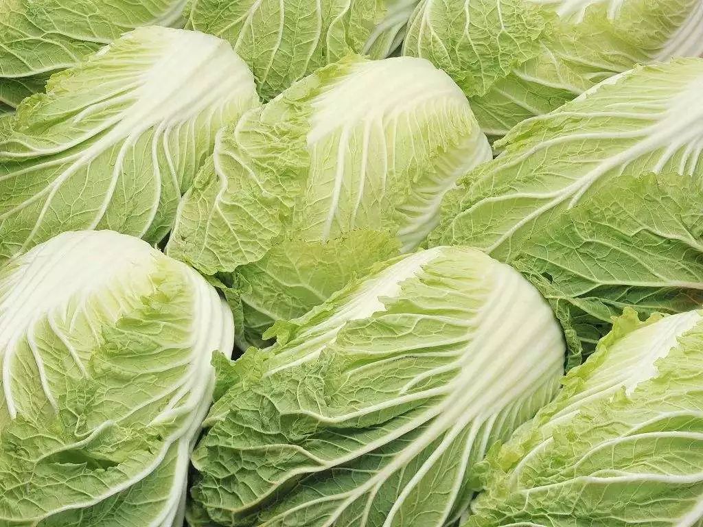 中韩代购,韩国代购的真实内幕